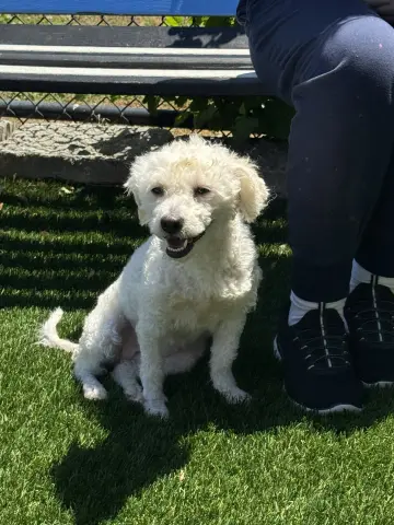 Chloe
