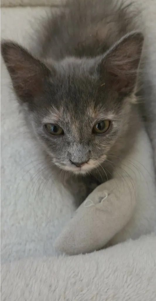 Stormi - Photo 1