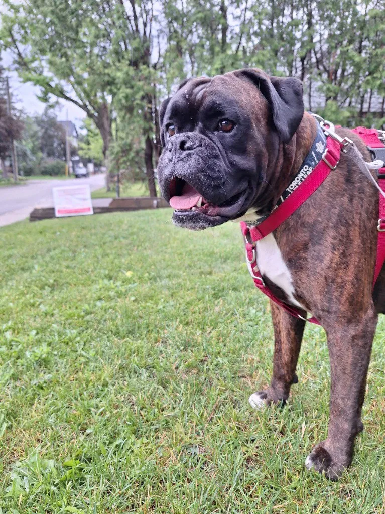 Walter - Photo 1