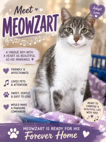 Meowzart