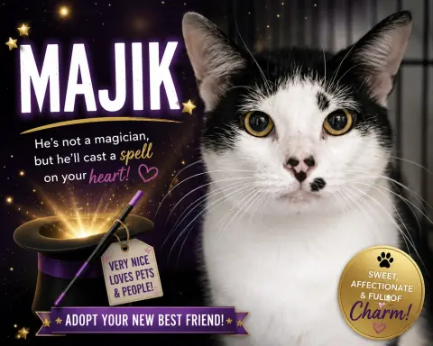 Majik