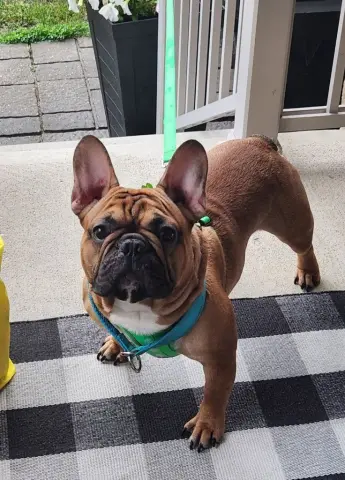 Benny