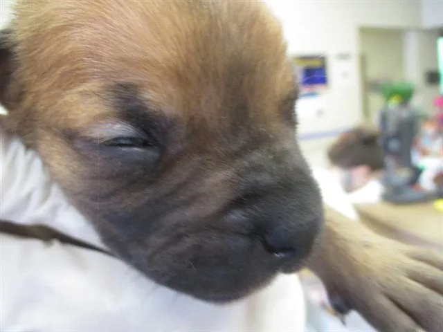 Carmello - Photo 1