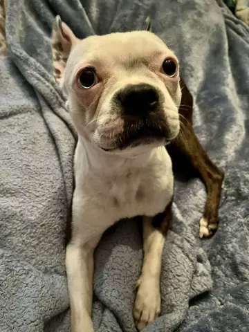Ruthie