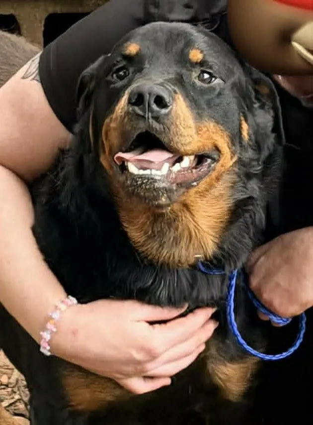 Bubba - Photo 1