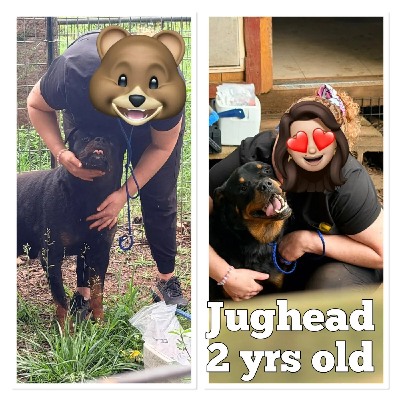 Jughead - Photo 1