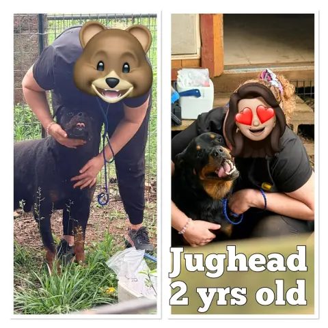Jughead