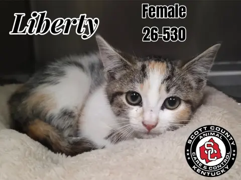Liberty