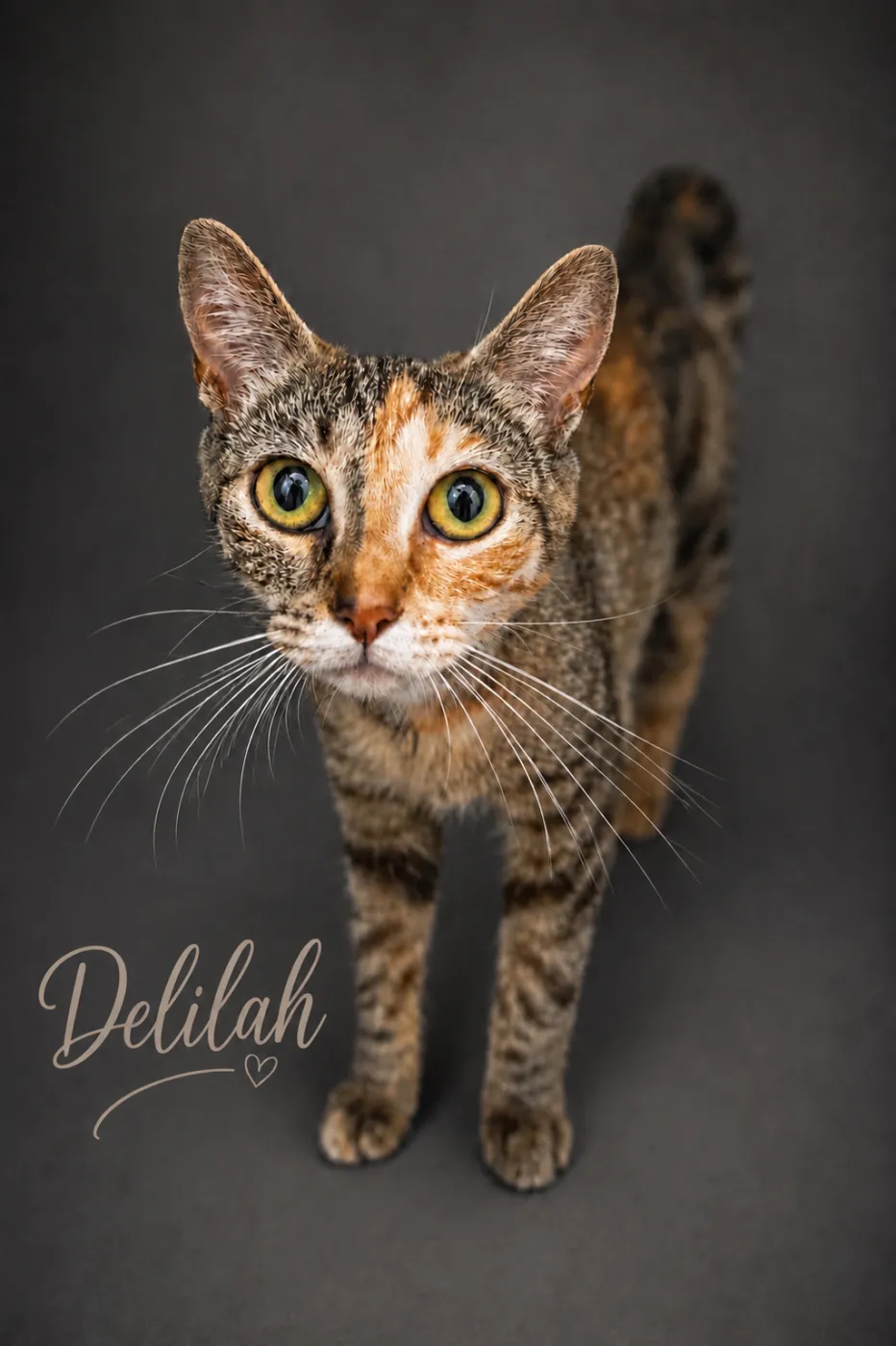 Delilah - Photo 1