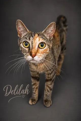 Delilah
