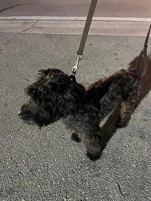 Doc - Photo 1