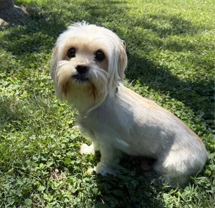 Mia - Photo 1