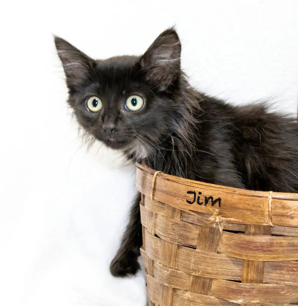 Jim - Photo 1
