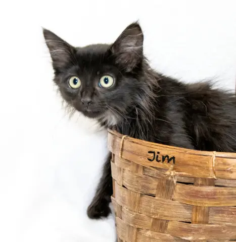 Jim