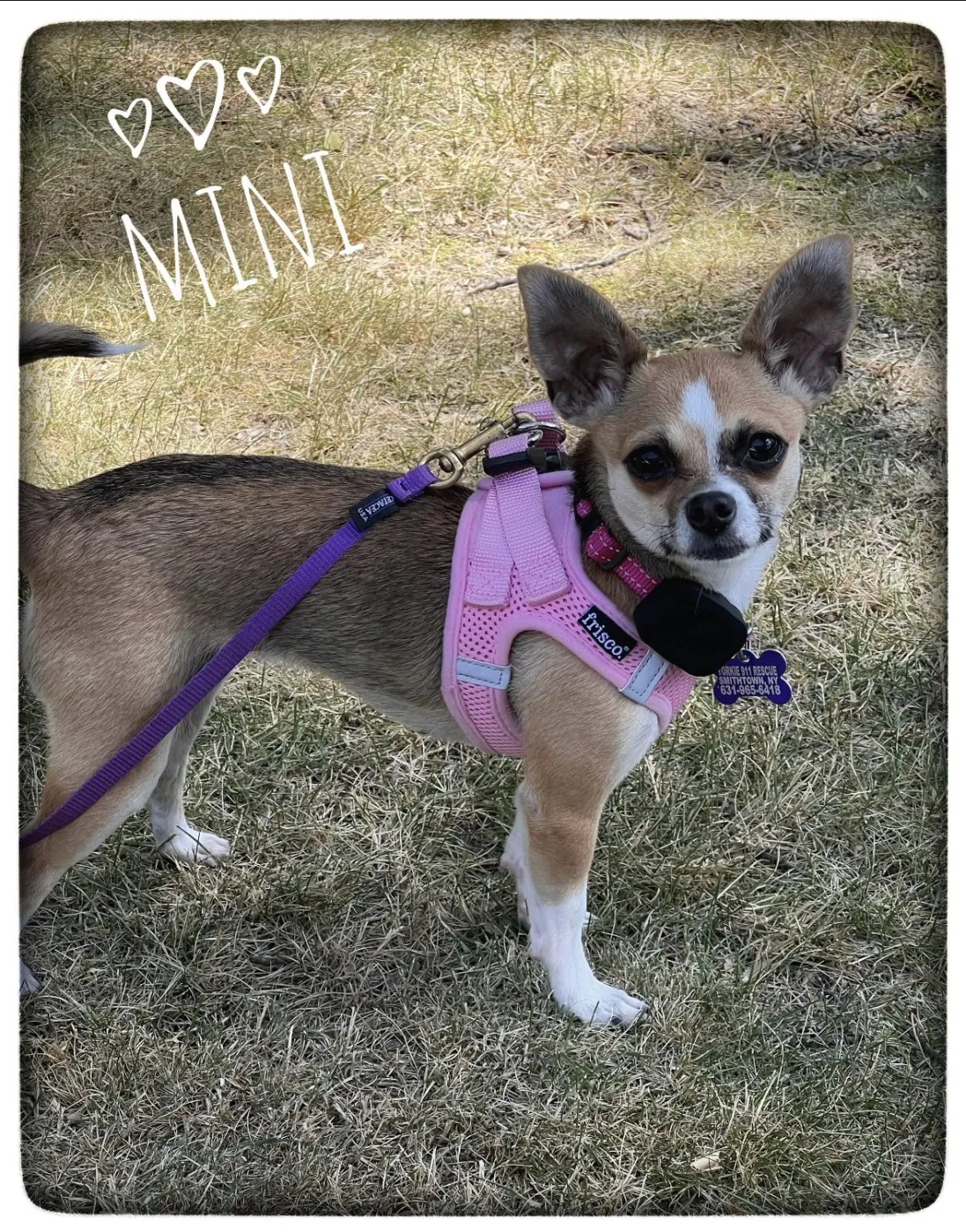 Mini - Photo 1