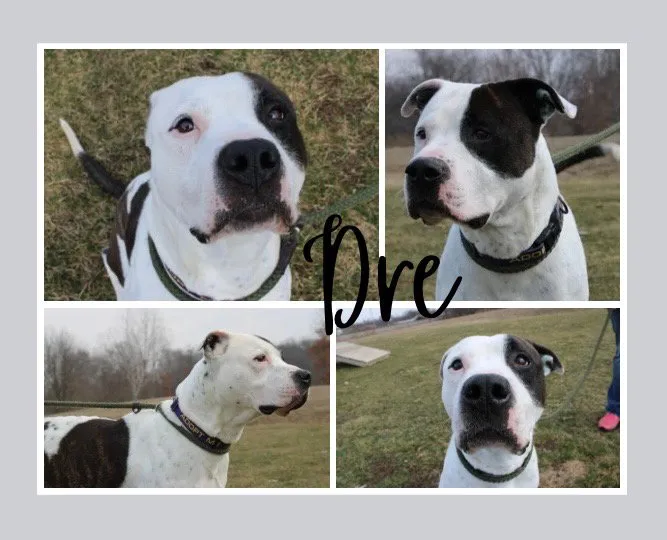 Dre - Photo 1