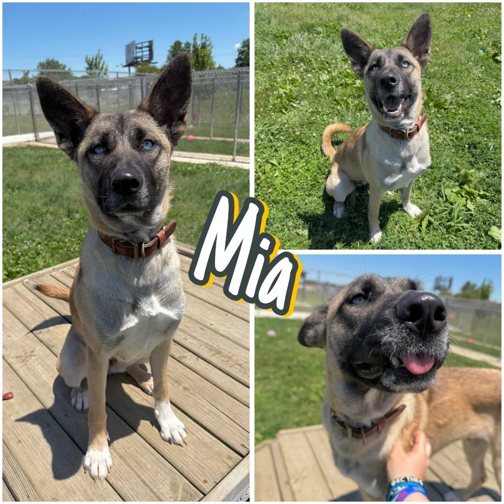 Mia - Photo 1