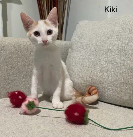 Kiki