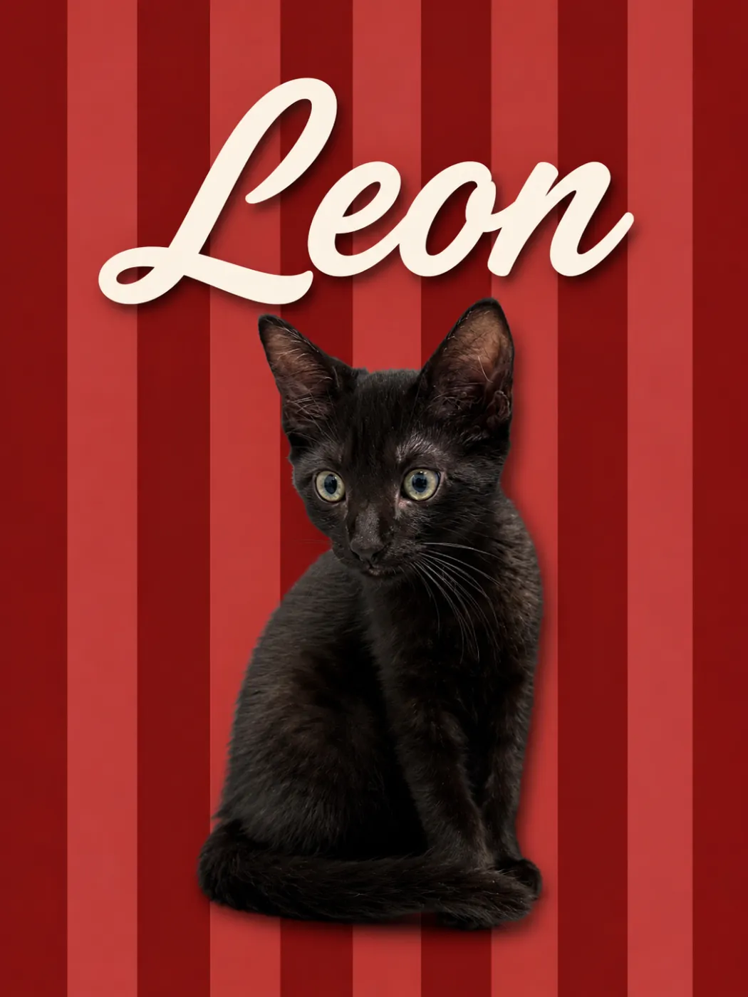 Leon - Photo 1