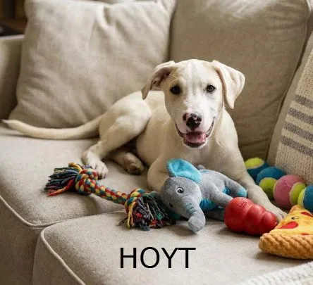 Hoyt - Photo 1