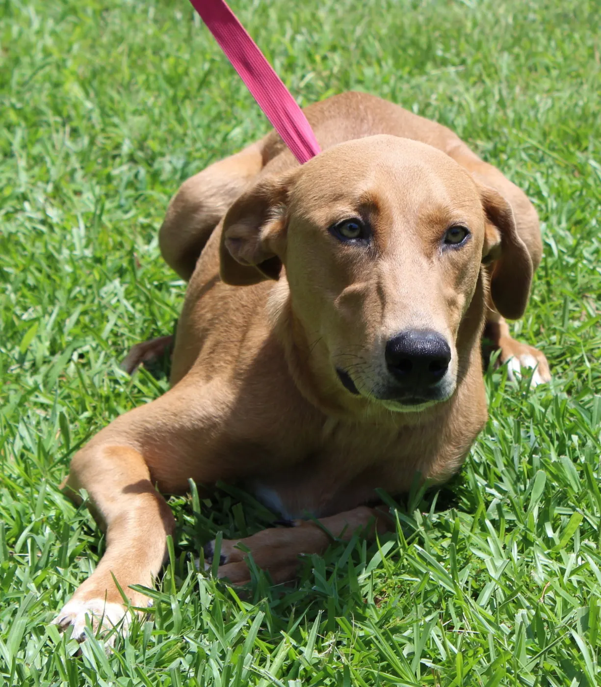 Mable - Photo 1