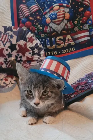 Stormie