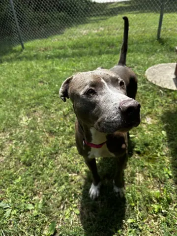 Lucy Mae