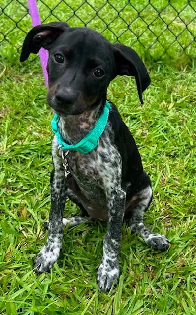 Tessa - Photo 1