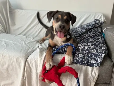 Axel
