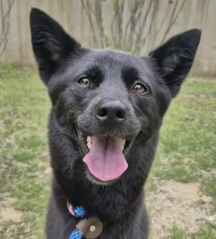 Nyx
