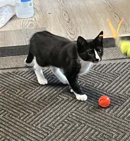 Marco