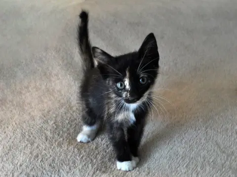 Luna