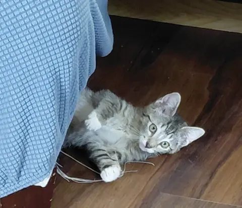 Trixie