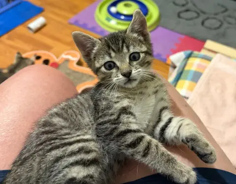 Milo