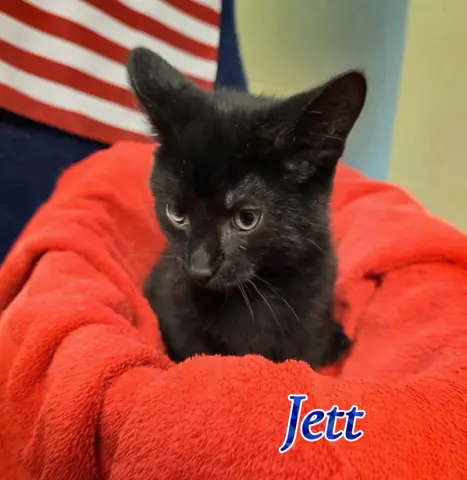 Jett