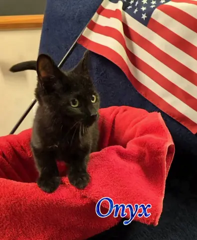Onyx