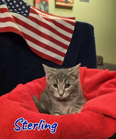 Sterling