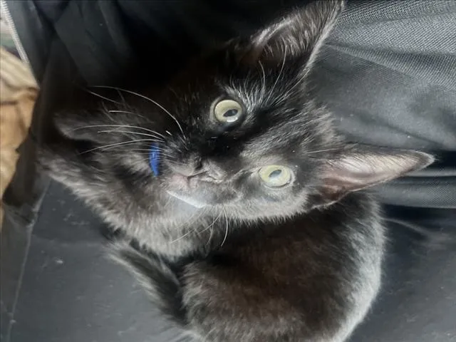 Casper - Photo 1