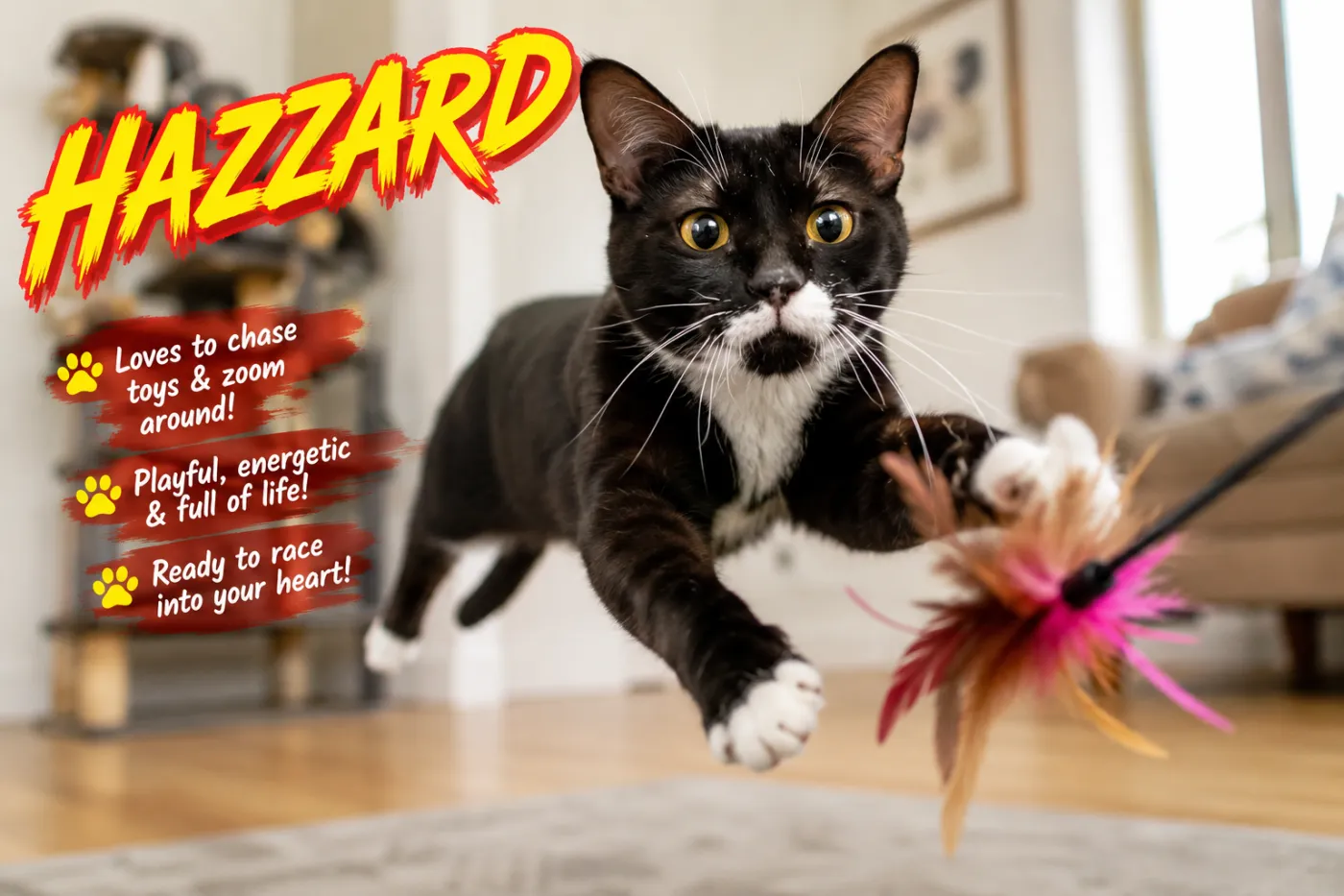 Hazzard - Photo 1