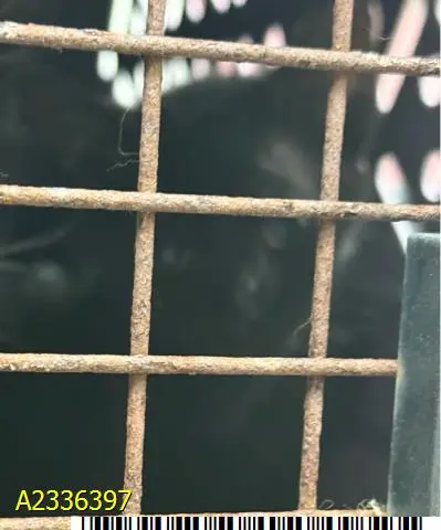 Binx