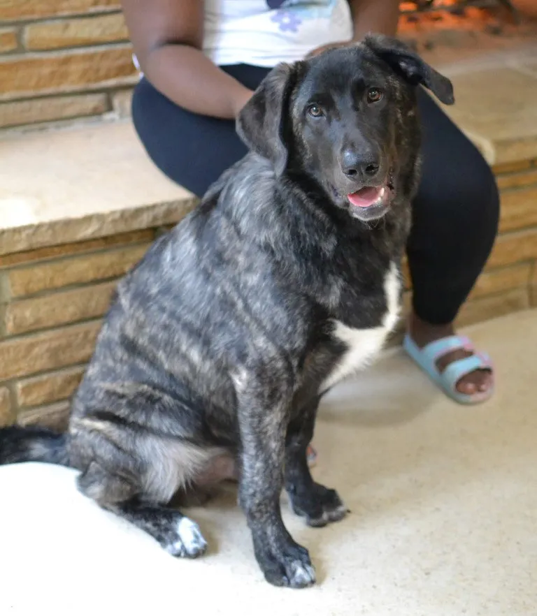 Smokey - Photo 1