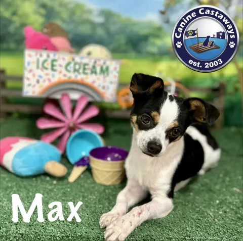 Max