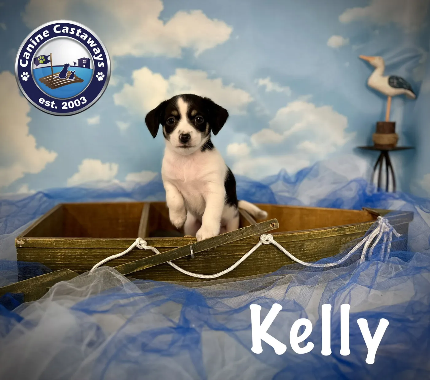 Kelly - Photo 1