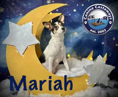 Mariah