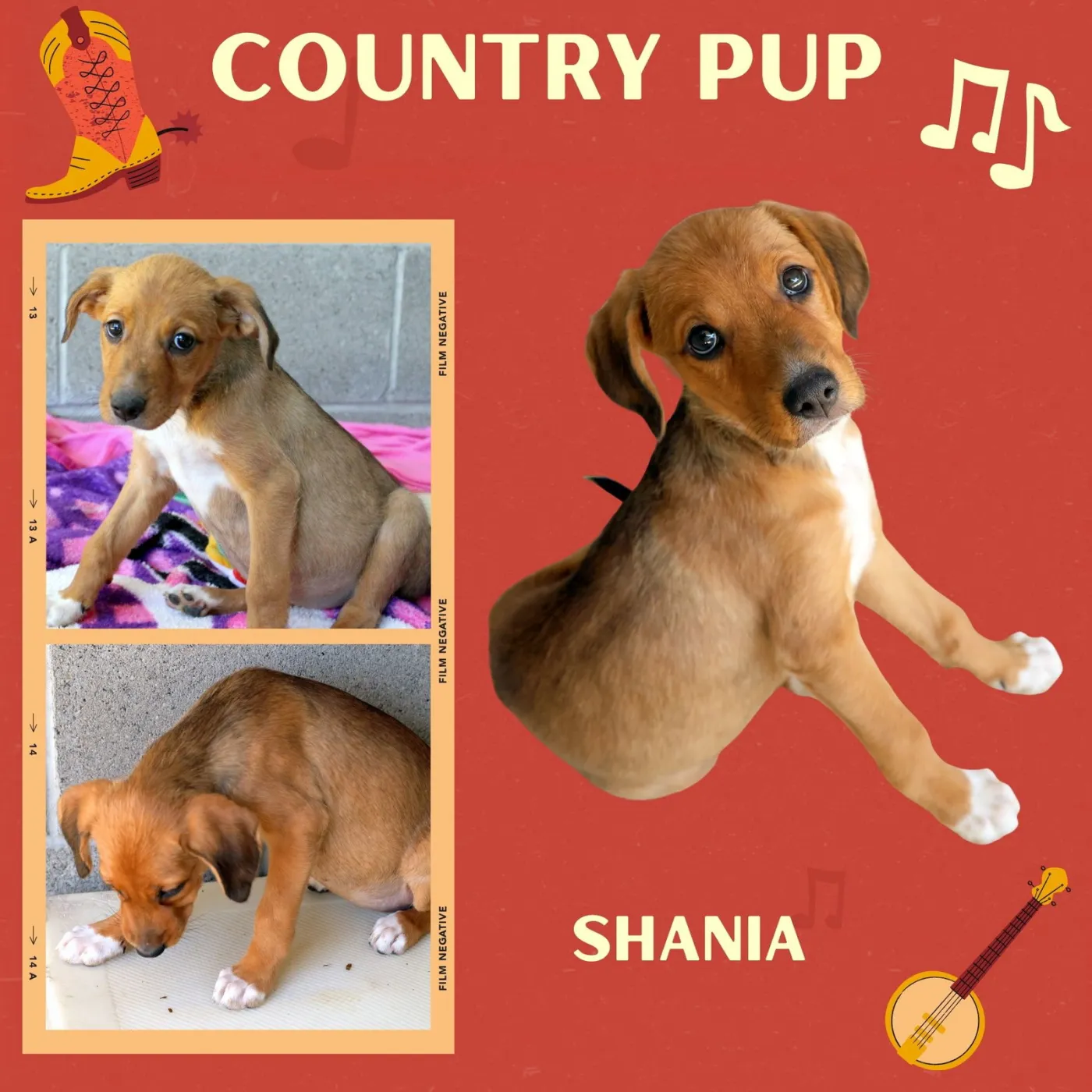 Shania - Photo 1