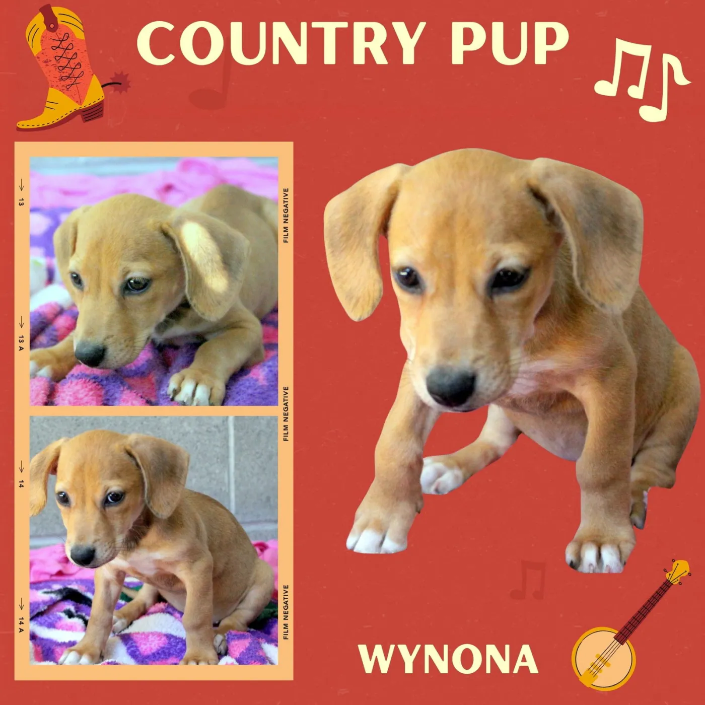 Wynona - Photo 1