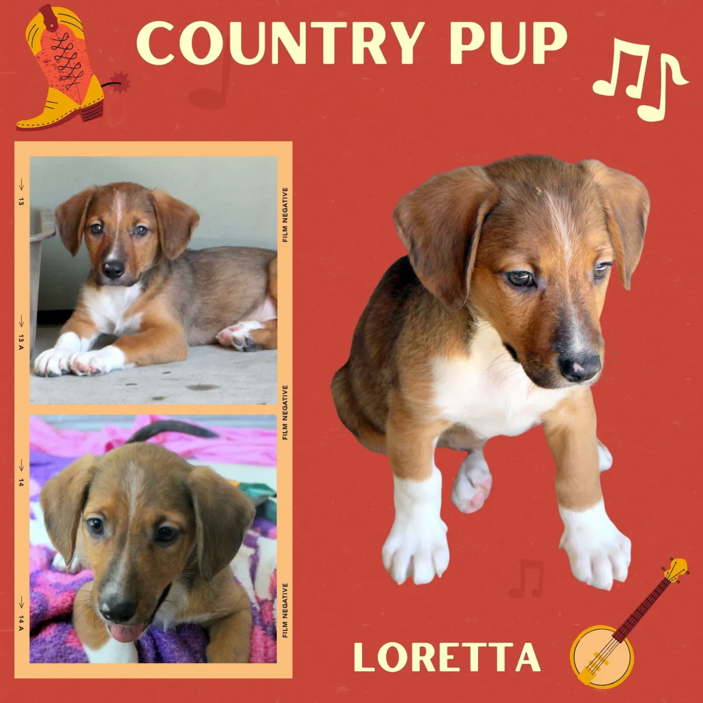 Loretta - Photo 1