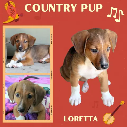 Loretta