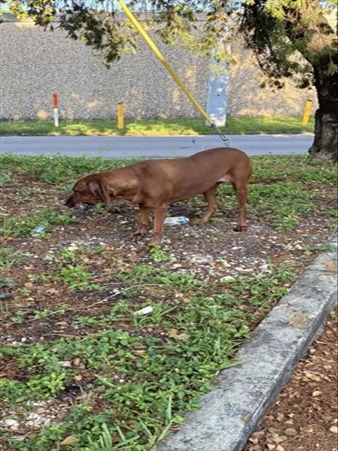 Molly - Photo 1