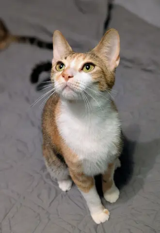 Winnie